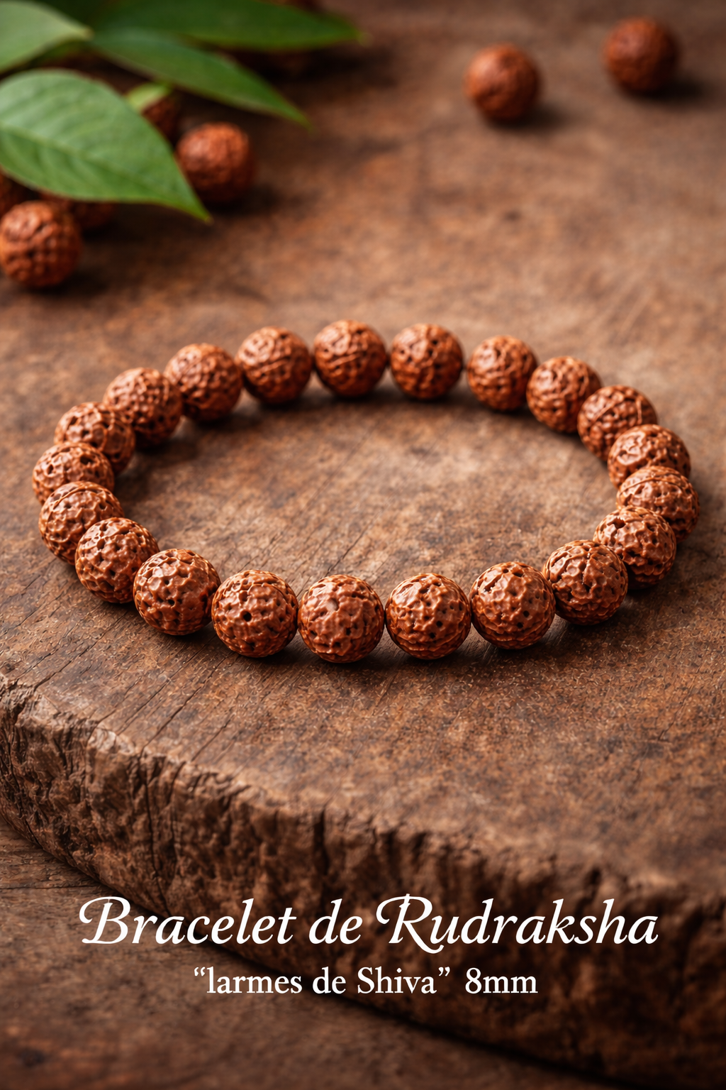 Bracelet Graines de Rudrasha "larmes de shiva" en 8mm