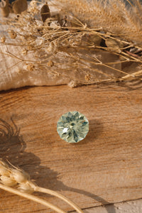 Prasiolite - 4.82 ct
